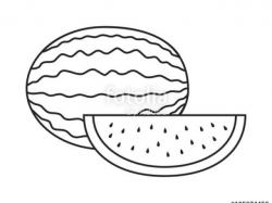 Line Drawing Of Watermelon at PaintingValley.com | Explore ...