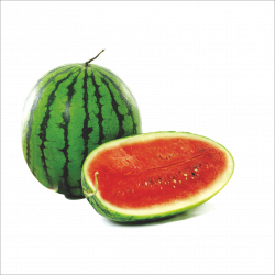 Watermelon PNG Images Transparent Free Download | PNGMart.com