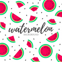 Watermelon Vectors, Photos and PSD files | Free Download
