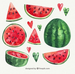 Watermelon Vectors, Photos and PSD files | Free Download