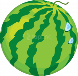 Watermelon Clipart Cartoon Whole - Transparent Background Watermelon ...