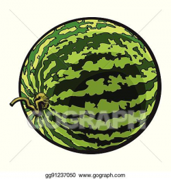 Vector Art - Perfect whole striped watermelon with curled up tail ...