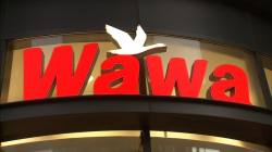 Wawa wins bids for liquor licenses in Philadelphia, Delco.