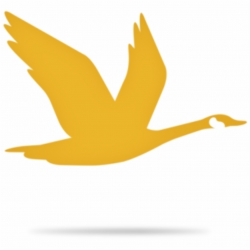 Wawa Logo Png - Wawa Goose Logo | Transparent PNG Download ...