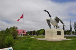 Fun Facts About The Famous Wawa Goose | Northern Ontario Travel