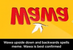 Wawa upside down and backwards spells meme. Wawa is best ...
