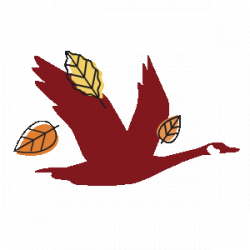 Goose Wawa Run Sticker by Wawa for iOS & Android | GIPHY