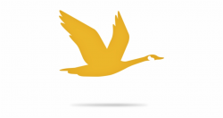 Wawa Logo Png - Wawa Goose Logo | Transparent PNG Download ...