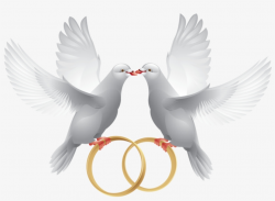 Marriage Clipart Dove - Wedding Ring With Dove - Free Transparent ...