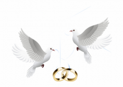Ring Vector Marriage Wedding Download Hd Png Clipart - Wedding Doves ...