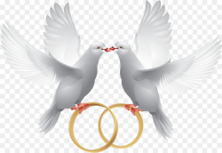 Wedding, Ring, Bird, transparent png image & clipart free download