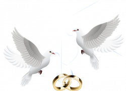 HD Ring Vector Marriage Wedding Download Hd Png Clipart - Wedding ...