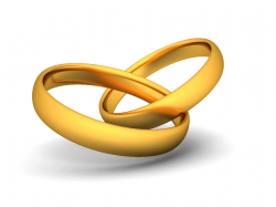 Free Vector Wedding Rings, Download Free Clip Art, Free Clip Art on ...