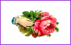 Hand clipart flower, Hand flower Transparent FREE for ...