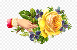 Floral Flower Background clipart - Flower, Food, Rose ...