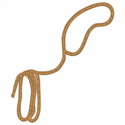 Cowboy Rope Cliparts - Cliparts Zone