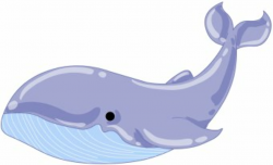 Free Whale Cliparts, Download Free Clip Art, Free Clip Art on ...