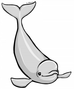 Free Beluga Whale Cliparts, Download Free Clip Art, Free Clip Art on ...