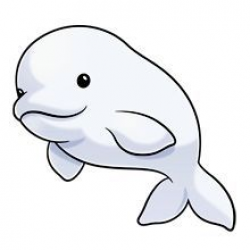 Beluga Whale Clipart | Free download best Beluga Whale Clipart on ...
