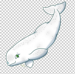 Beluga Whale Drawing PNG, Clipart, Animal Figure, Animals, Baby ...