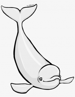 Beluga Whale By Brittlebear On Clipart Library - Beluga Clipart ...