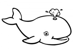 whale outline Whale clipart blue color pencil and in whale jpg ...