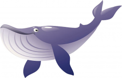 Humpback Whale Clipart 5 - 612 X 390 - Making-The-Web.com