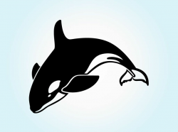 Jumping Orca - ClipArt Best - ClipArt Best | whales | Whale drawing ...