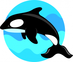 Jumping the whale vector Free Vector - Clip Art Library