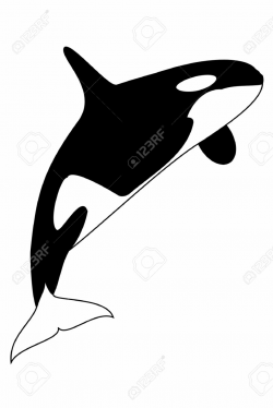 Whale black and white orca jumping black white clipart – Gclipart.com