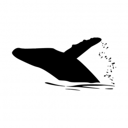 Humpback Whale Jump Silhouette