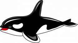 Free Orca Cliparts, Download Free Clip Art, Free Clip Art on Clipart ...