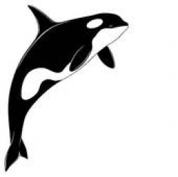 Orca Whale Clipart | Clipart Panda - Free Clipart Images