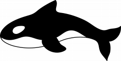 Orca Whale Clipart | Clipart Panda - Free Clipart Images