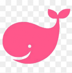 Pink Whale Png - DLPNG.com