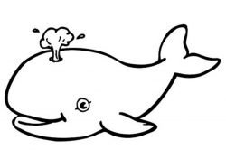 Free Printable Whale Coloring Pages For Kids - Clip Art Library