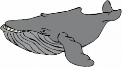 preschool printable whale | Clipart Panda - Free Clipart Images