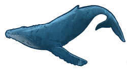 Humpback Whale Clip Art | Clipart Panda - Free Clipart Images | ink ...