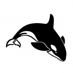 Free Shamu Cartoon, Download Free Clip Art, Free Clip Art on Clipart ...