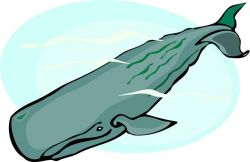 Free Sperm Whale Cliparts, Download Free Clip Art, Free Clip Art on ...