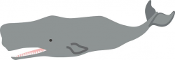 Sperm Whale premium clipart - ClipartLogo.com