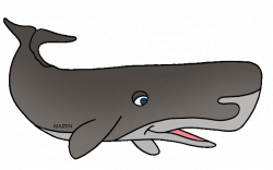 Sperm whale clipart free clipart images 2 - Cliparting.com