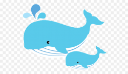 Dolphin, Fish, transparent png image & clipart free download