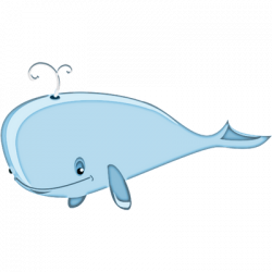 Cartoon Whale Clipart transparent PNG - StickPNG