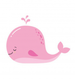 Whale Clipart Vector Images (over 250)
