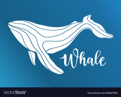Abstract whale logo deign