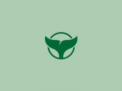 Green Whale Logo by Dolan Frick on Dribbble