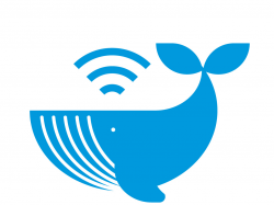 Whale Wifi by Tom Cooper on Dribbble