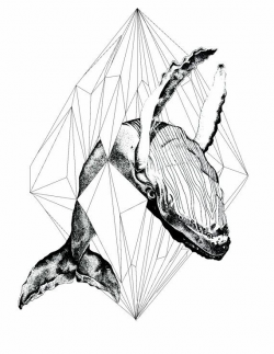 Geometric whale art print by samanthajanemargaret on Etsy ...