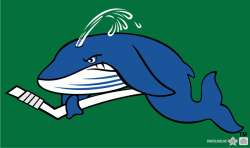 Connecticut Whale Secondary Logo - American Hockey League ...